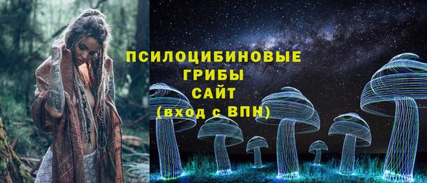 марки lsd Козельск