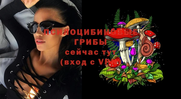 марки lsd Козельск