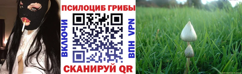 Галлюциногенные грибы Cubensis Зуевка